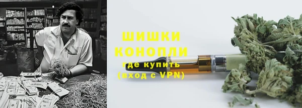 винт Вяземский