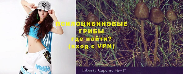 спайс Горнозаводск